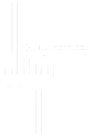 DIP Architecture
